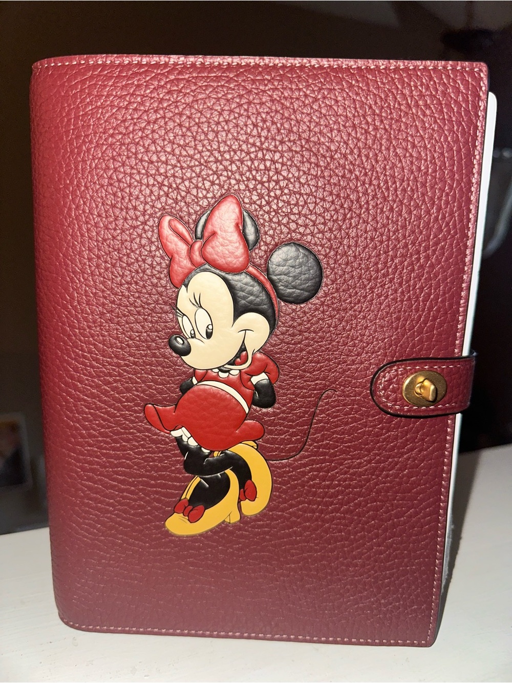 Coach x Disney Minnie Mouse Burgundy Pebbled Leather Notebook